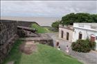 35 Colonia